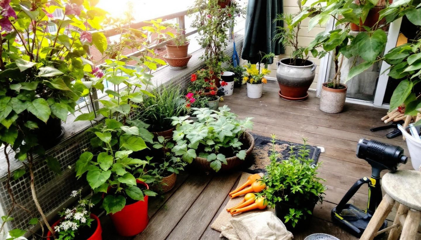 Les étapes clés pour transformer votre balcon en un espace vert luxuriant